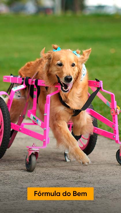 Imagem com link para página Fórmula do Bem. Na imagem um cão com deficiência física está correndo com sua cadeira de rodas em um parque
