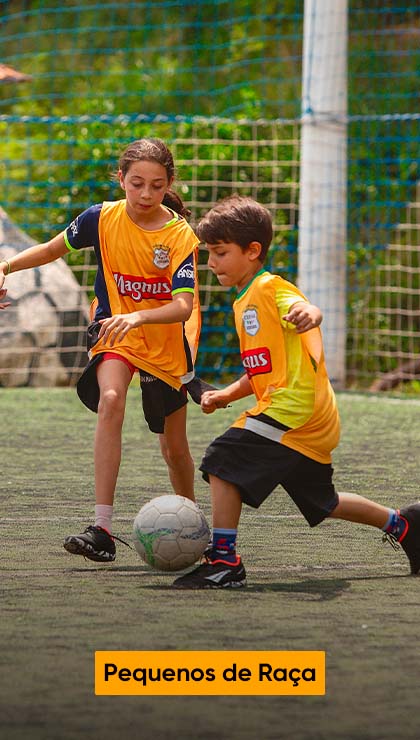 Imagem com link para página Pequenos de Raça. Na imagem crianças praticando futebol