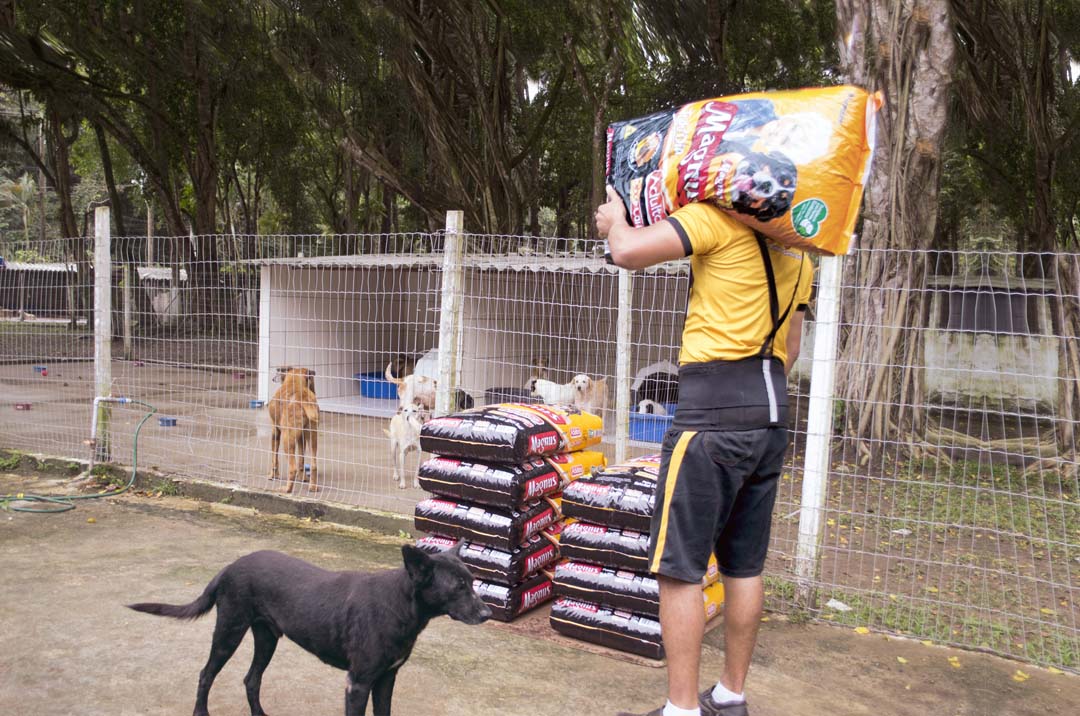 Na imagem, funcionário do Instituto Adimax carregando um saco de rações que foi doado à um abrigo de animais.