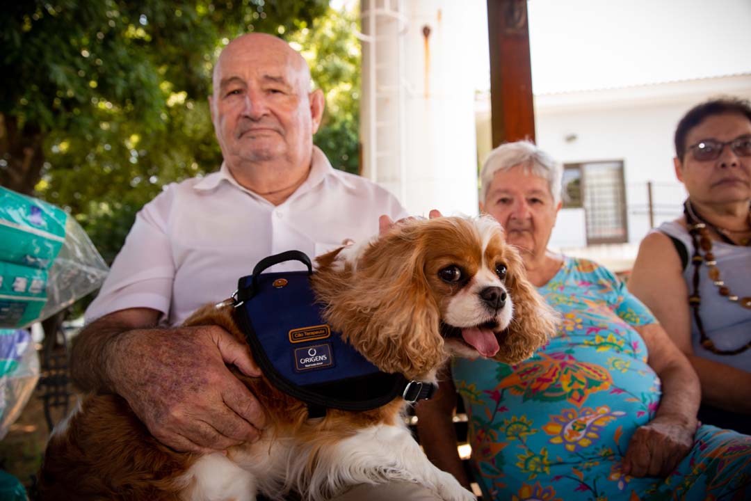 Na imagem um cão no colo de um idoso durante a visita a um lar de idosos.