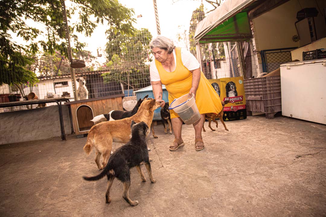 Na imagem, uma mulher dando ração para os cães do abrigo.