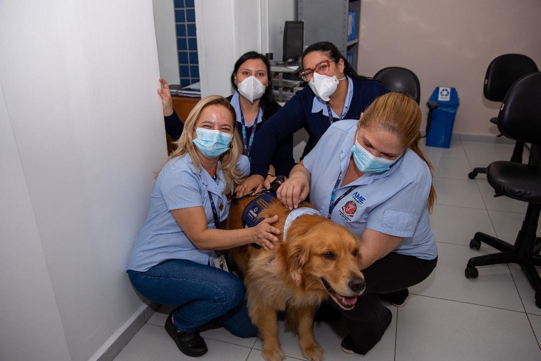 Na imagem 4 mulheres fazem carinho no cachorro da pet terapia em uma recepção de hospital