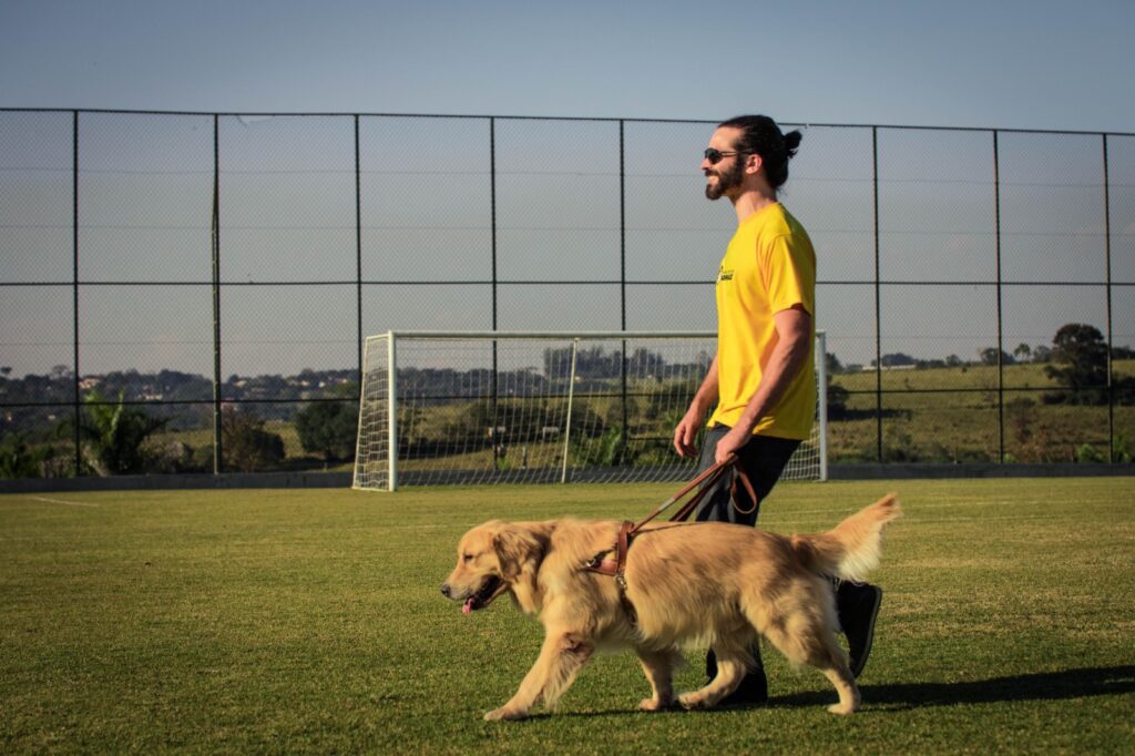 Na imagem homem é guiado por seu cão-guia em um campo de futebol