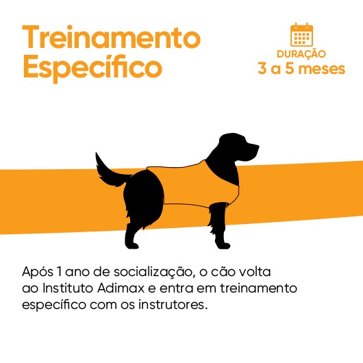 Na imagem treinamento específico duração 3 a 5 meses + texto após 1 ano de socialização, o cão volta ao Instituto e entra em treinamento específico com os instrutores.