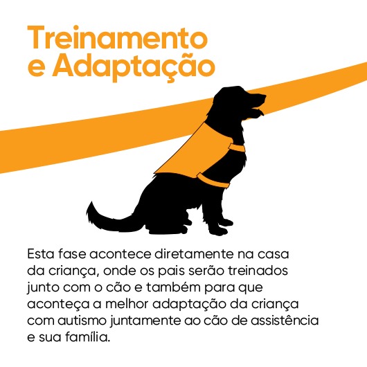 Na imagem Treinamento e adaptação + texto essa fase acontece diretamente na casa da criança, onde os pais serão treinados junto com o cão e também para que aconteça a melhor adaptação da criança com autismo juntamente ao cão de assistência e sua família.
