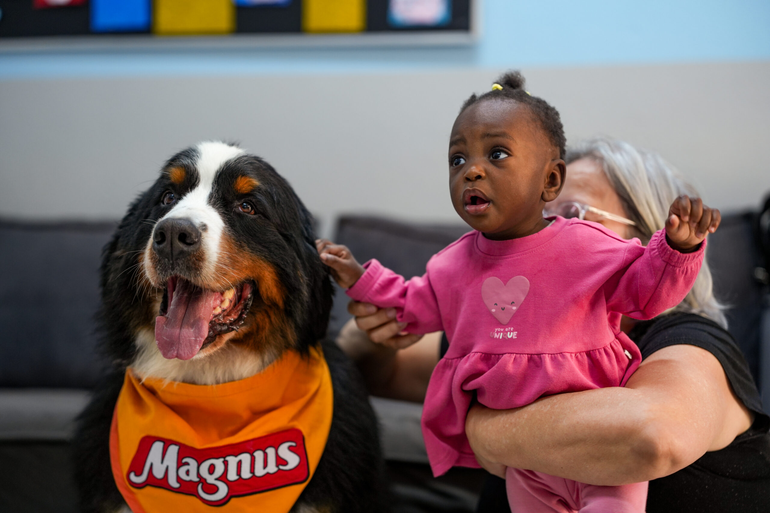 Na imagem o Cão Magnus e uma criança