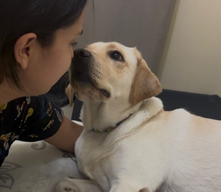 labradora Zoe